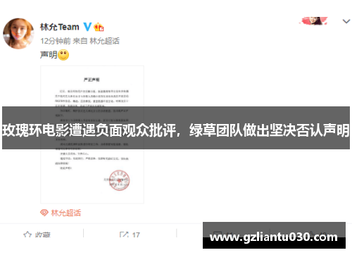 玫瑰环电影遭遇负面观众批评，绿草团队做出坚决否认声明
