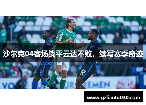 沙尔克04客场战平云达不败，续写赛季奇迹