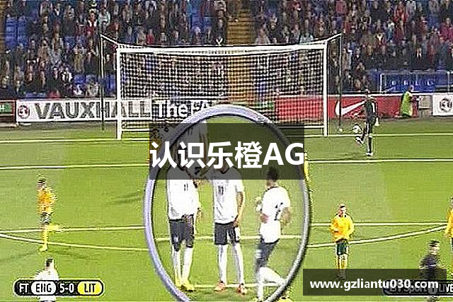 认识乐橙AG